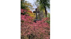 Heilige Messe am Allerseelentag (02. November) 