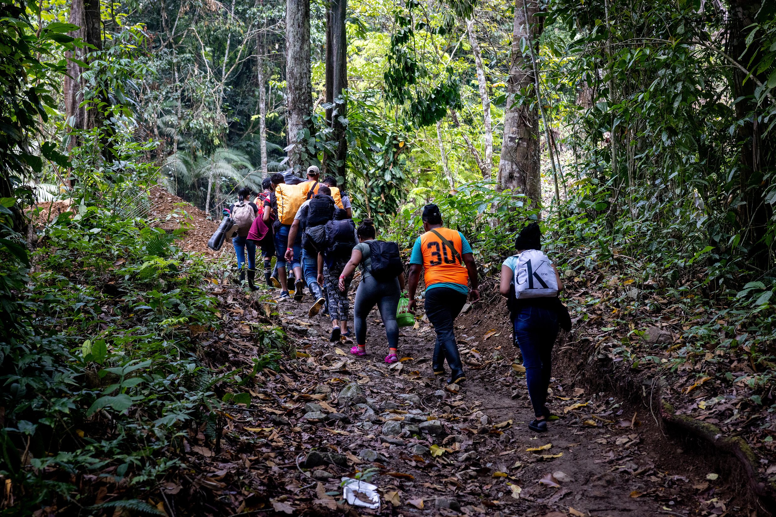 Der Dschungel ist eine der Haupt-Fluchtrouten über die Panamericana. Foto: © Jonas Brander / Adveniat
