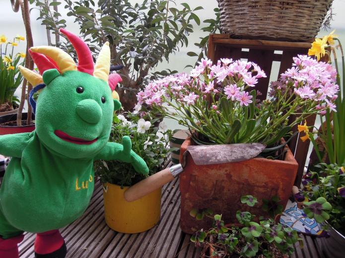 Schulmaskottchen Lubo wird zum Helden in der Corona-Zeit. Foto: © IN VIA e.V. Köln