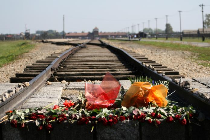 Am 27. Januar wird weltweit der Opfer des Nationalsozialismus gedacht. Foto: Ron Porter / Pixabay