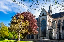 Der Altenberger Dom in der Nähe von Köln. Foto: © Didgeman / Pixabay