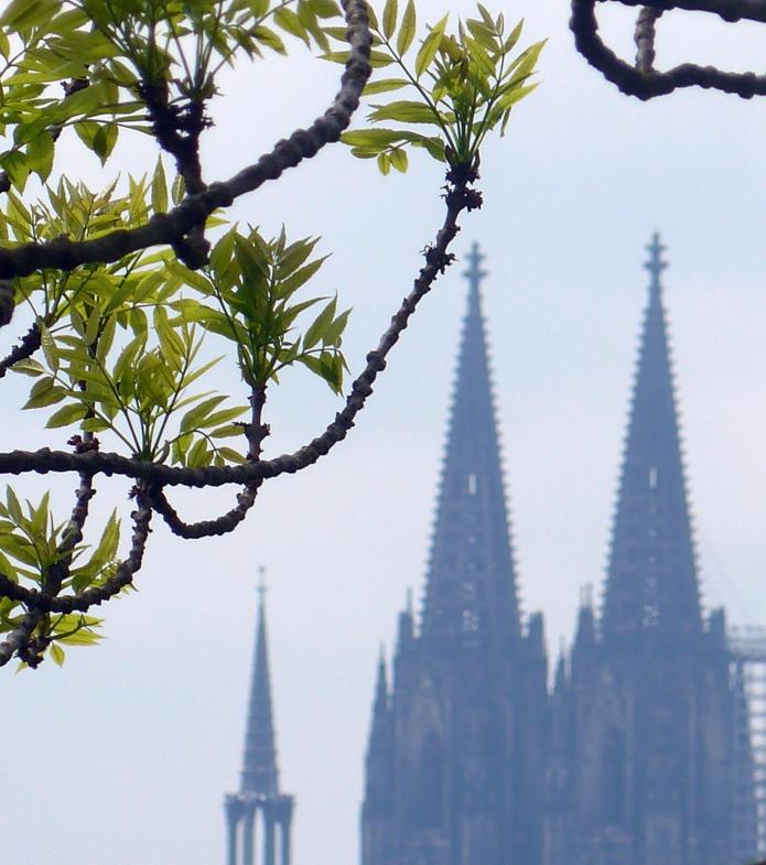 Foto: © Bernhard Riedl /Erzbistum Köln