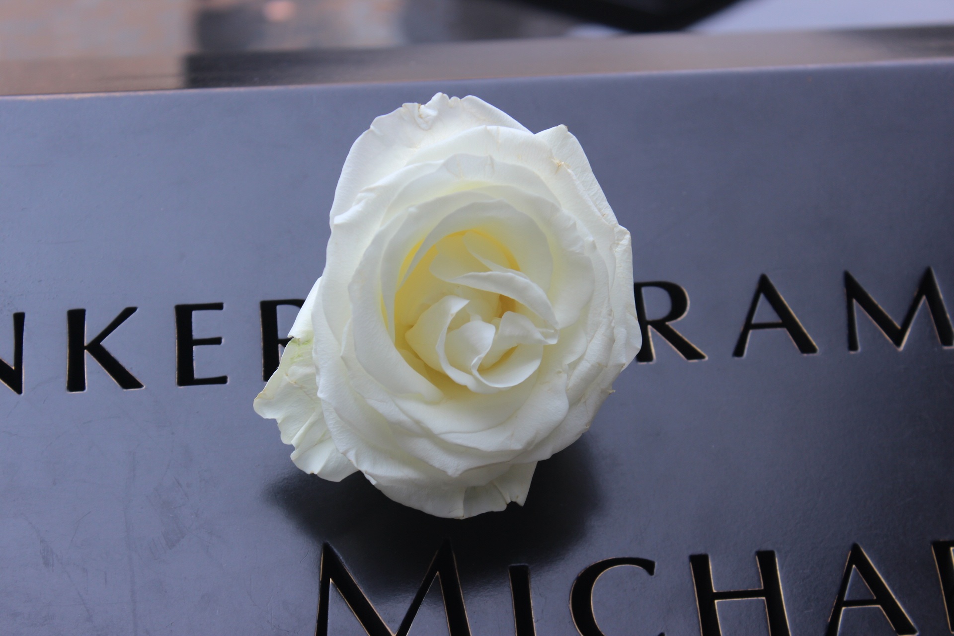 Die Namen der fast 3000 getöteten Menschen werden jedes Jahr am World Trade Center / Ground Zero verlesen. Foto: © Wallula / Pixabay