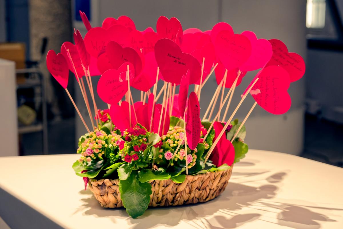 Blumenbeet