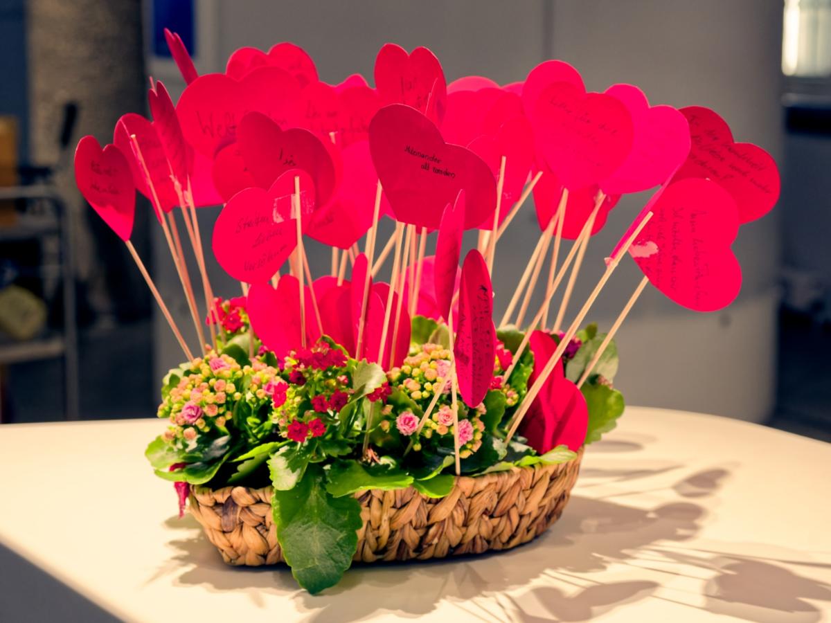 Blumenbeet
